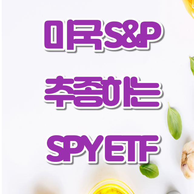 미국 S&P 500 지수 추종 하는 SPY ETF