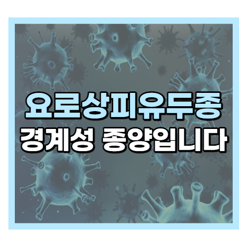  요로상피유두종 경계성종양입니다D30.3
