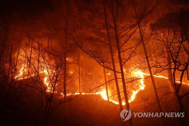 [동해안 산불] 피해면적 역대최대 2000년 산불 때 육박…서울면적 3분의1 이상(종합)