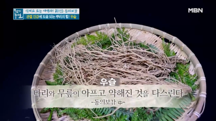  우슬: 관절에 도움이 되는 뿌리