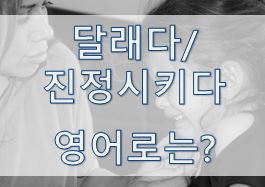  [영어 유의어] '달래다 / 진정시키다' - 영어로 어떻게?