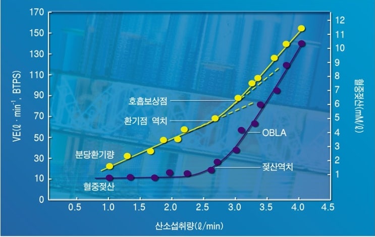  무산소성 역치 AT(anaerobic threshold), 환기역치의 원리와 해석