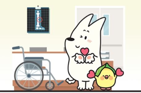 NH농협손해보험 실비 보험 보험료 조회(다이렉트 가입 추천)