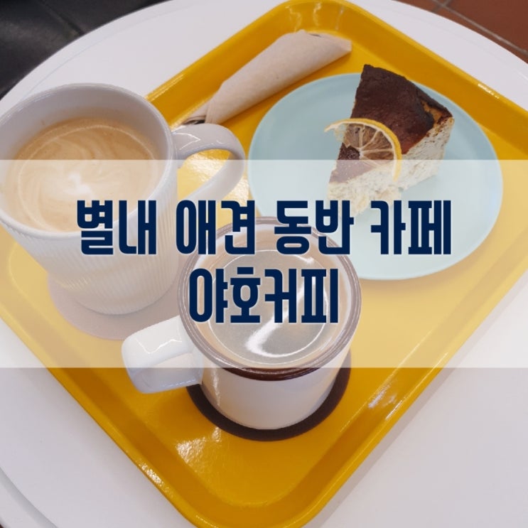  내돈내산 후기 : 커피가 맛있는 별내 애견동반 카페 야호커피