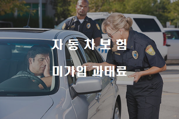  자동차보험 미갱신시 과태료, 자동차보험 과태료 경감