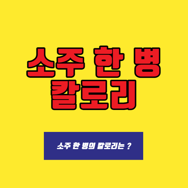  소주 한병 칼로리 몇 ? / 소주 칼로리 알아보기