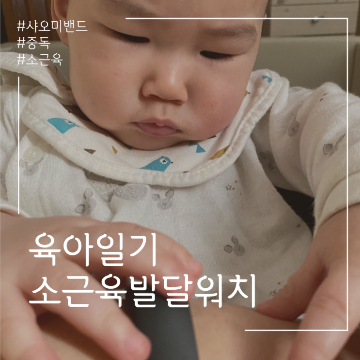  육아 9개월 소근육 뜻밖의 소근육운동