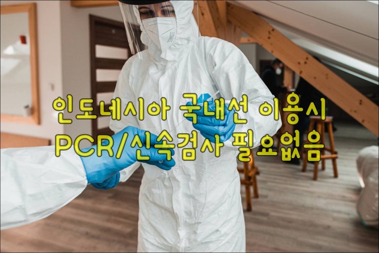  인도네시아 국내선 이용시  PCR/신속검사 이제 안녕~