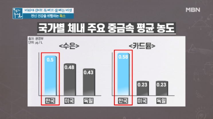  능이버섯:: 독 빼고 살 빼는 버섯