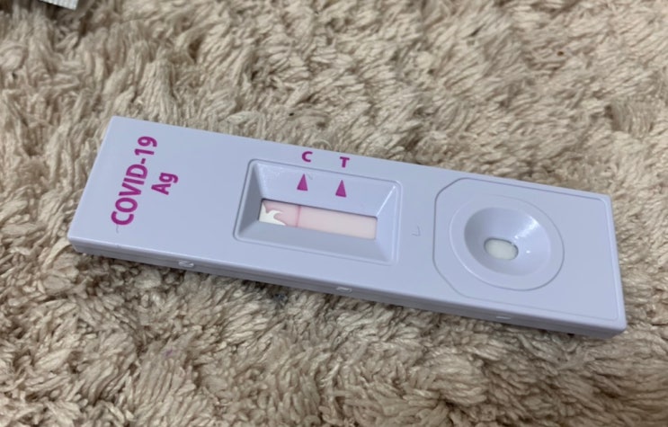 코로나 자가진단 키트 가격 및 사용법 진짜 정확할까?