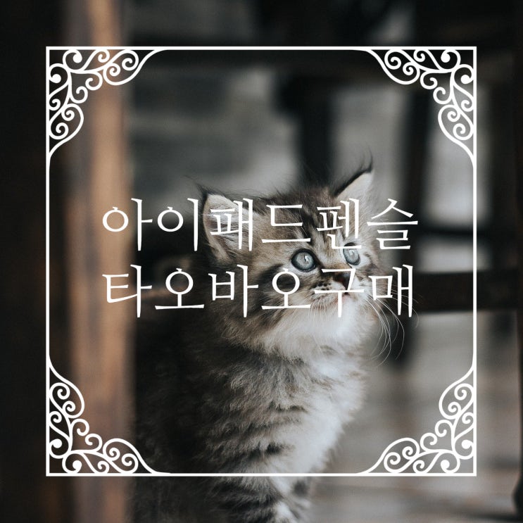  짭플펜슬  타오바오에서 구매한 새로 산 물건