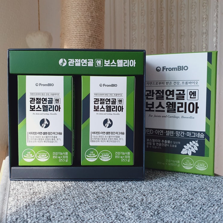  관절연골엔 보스웰리아로 꾸준하게 관리해줘요 관절건강식품 보스웰리아효능