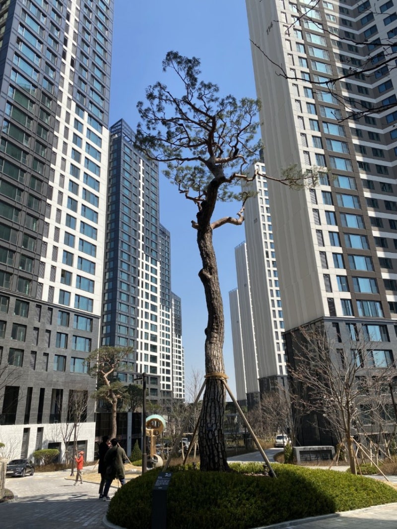 밀 관련주, 밀 옥수수 곡물 관련 주식(대한제분, 사조동아원) : 네이버 블로그