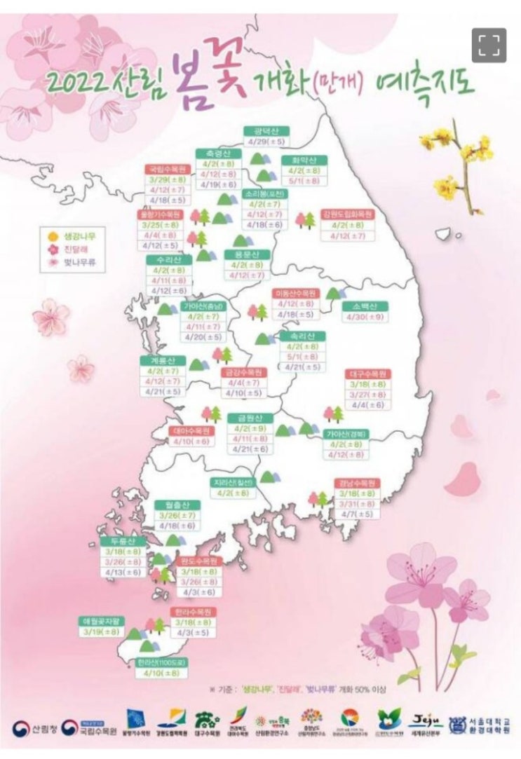 2022년 벚꽃 개화시기 전국 벚꽃축제