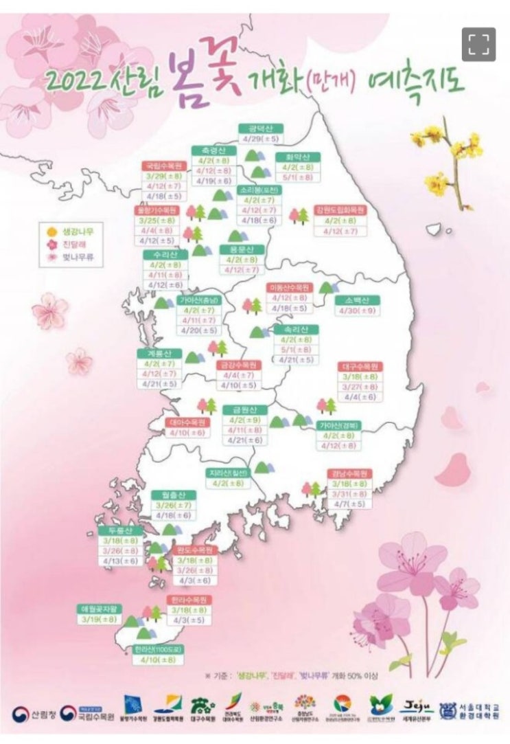  2022년 벚꽃 개화시기 전국 벚꽃축제