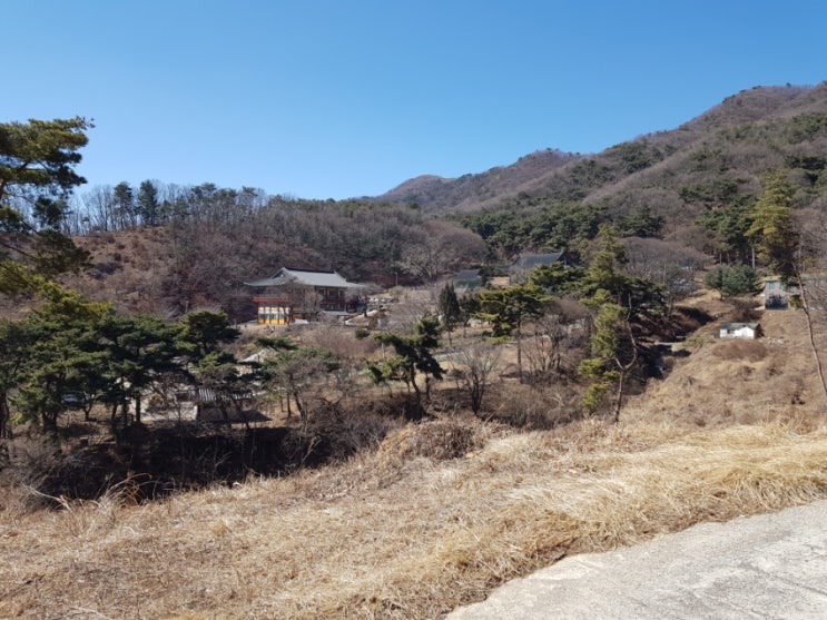  원적산 등산(정상에는 못감)