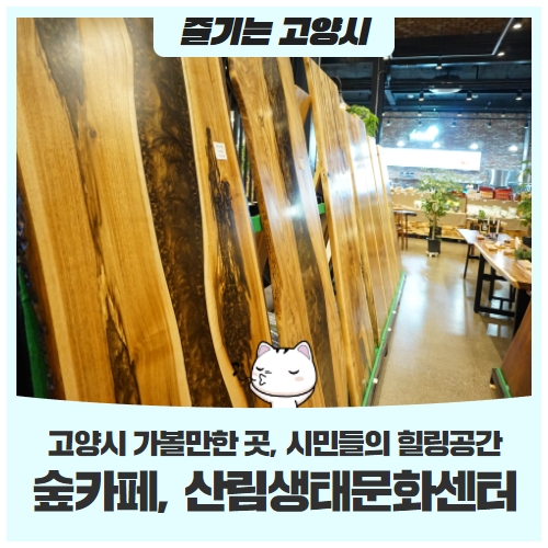 고양시 가볼 만한 곳시민들의 힐링공간 숲카페, 산림생태문화센터로 오세요! 고양시 가볼 만한 곳시민들의 힐링공간 숲카페, 산림생태문화센터로 오세요!