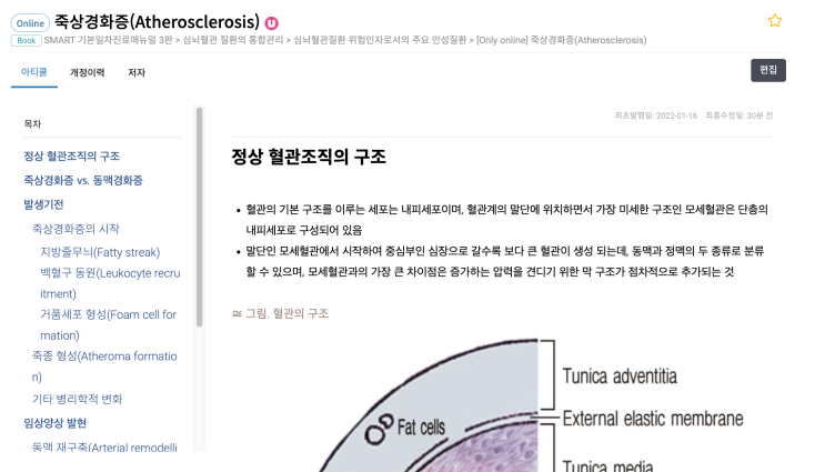  죽상경화증(Atherosclerosis) - 정상 혈관조직의 구조, 혈관의 구조, 동맥경화증, 발생기전 등