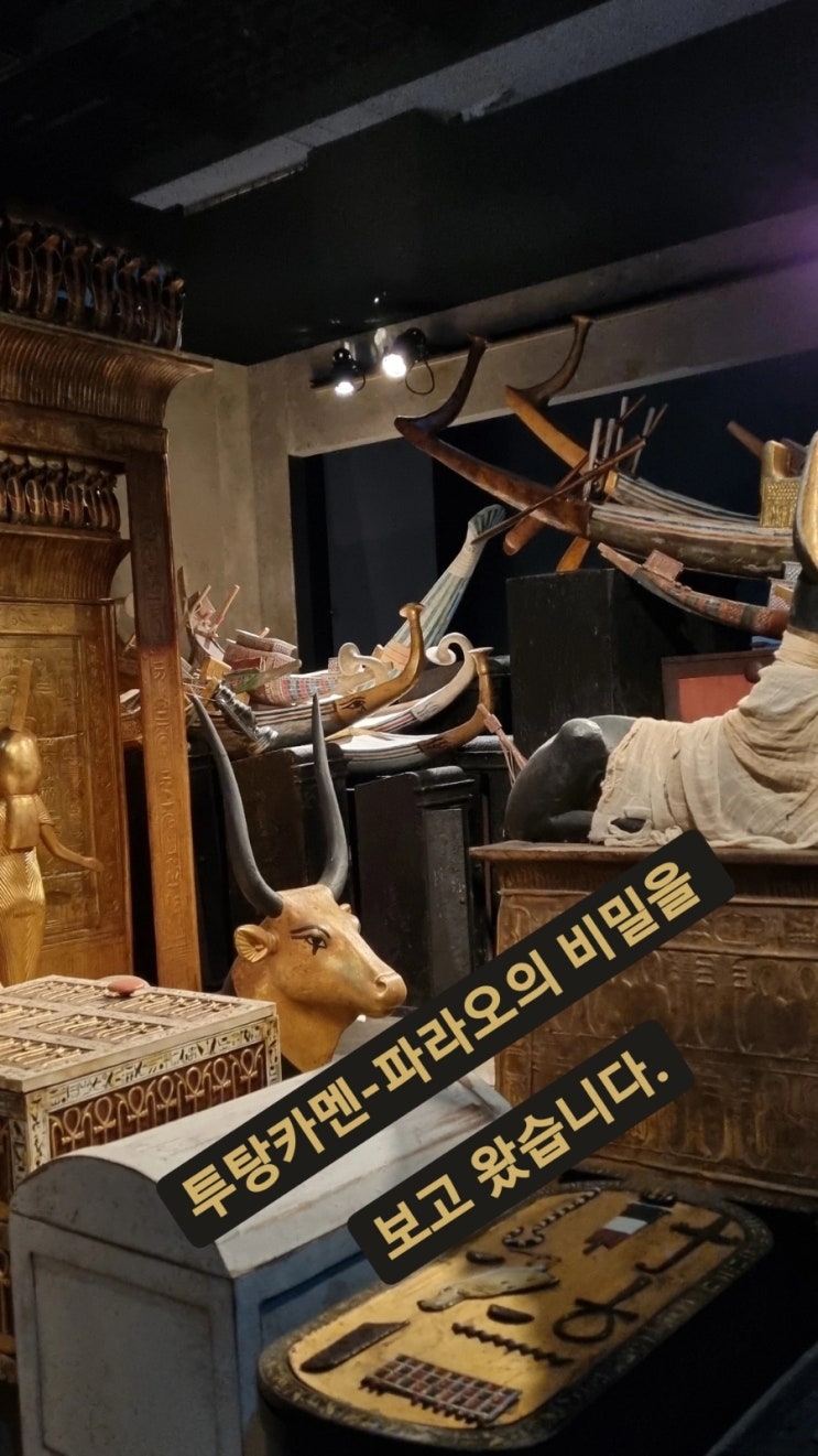  [볼만한전시]투탕카멘 파라오의 비밀 관람기