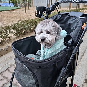 크로노 디럭스 애견 유모차 엄마가 더 편한 국민개모차