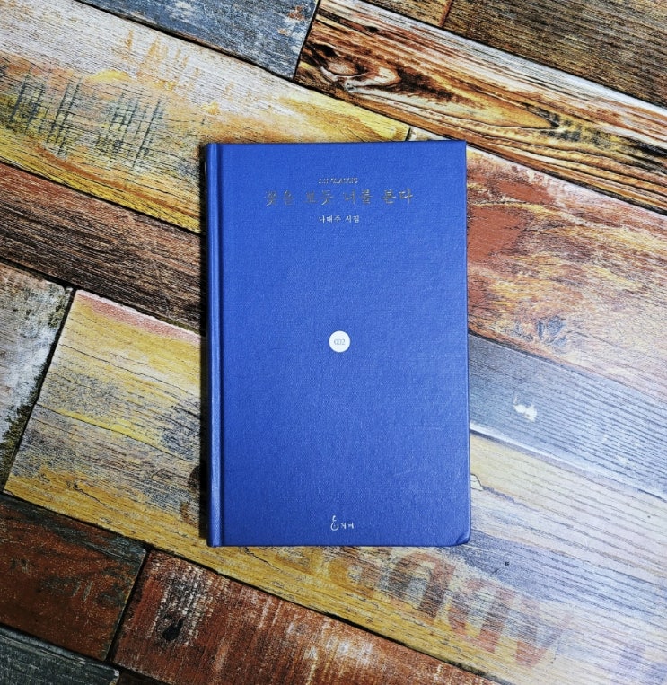  [독서] 꽃을 보듯 너를 본다 - 나태주 시집, 지혜 2020.11.30 유퀴즈온더블럭 방탄소년단 제이홉이 추천한 책, 베스트셀러 선물하기좋은책