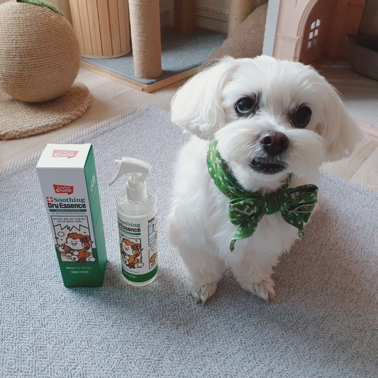  래핑찰리 수딩드라이에센스로 강아지목욕이 쉬워졌어요