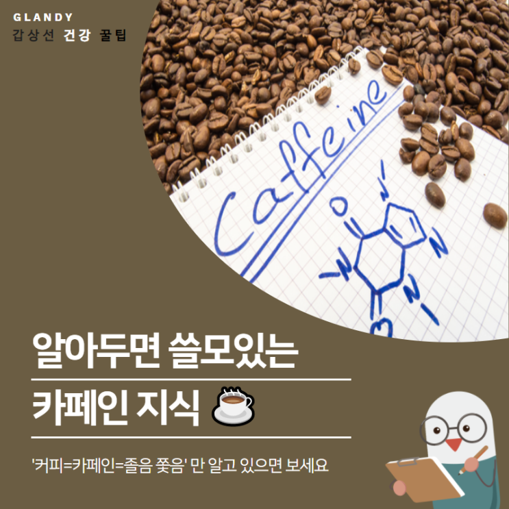  알아두면 쓸모있는 카페인 지식 