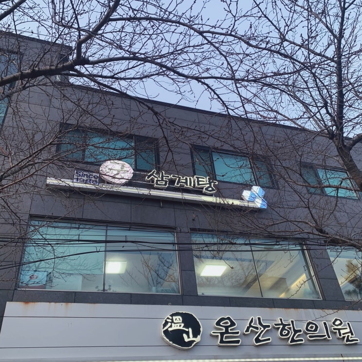  온산 삼계탕 맛집 궁엄나무삼계탕