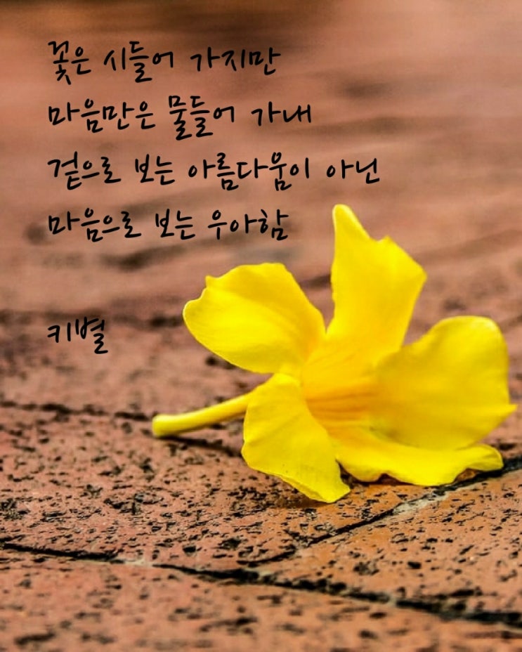  마음(감성글귀)(인생글귀)(글귀)(내글귀)