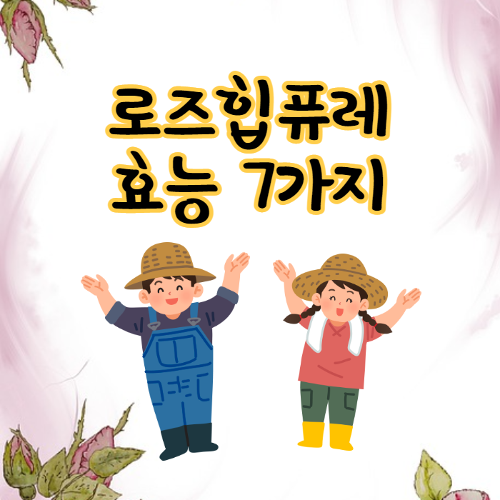 로즈힙퓨레 효능 7가지와 먹는 법 로즈힙퓨레 효능 7가지와 먹는 법