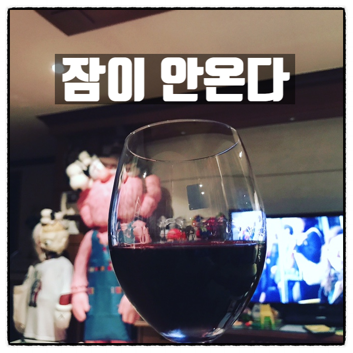 잠이 안온다... feat 부정선거 잠이 안온다... feat 부정선거