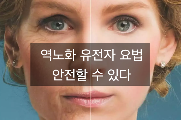  역노화 인자 OSKM 을 이용한 세포 회춘 요법이 안전할 수 있다는 결과가 발표되었습니다