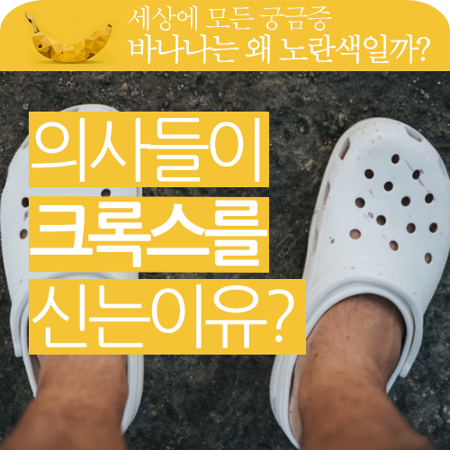 의사와 간호사들은 왜 크록스를 신을까요?