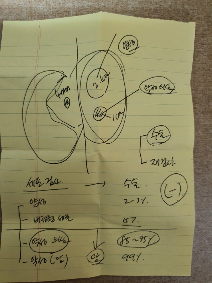  2021년 4월 - 갑상선암, 그 시작은 종합 건강검진