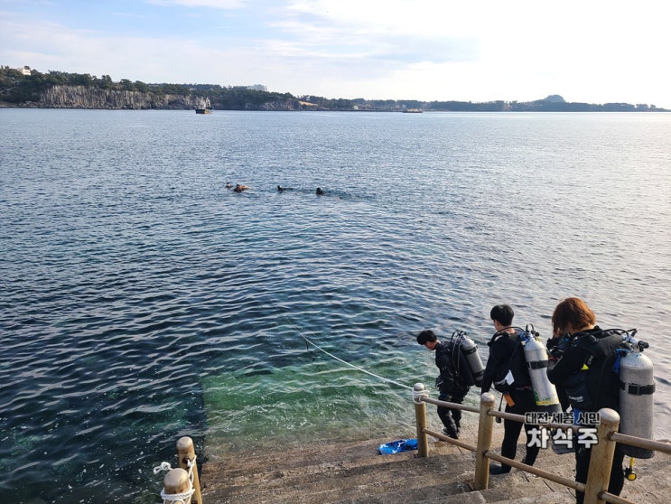  제주 서귀포스쿠버다이빙 겨울바다에서 즐겼던 스쿠버다이빙 언더더씨 후기