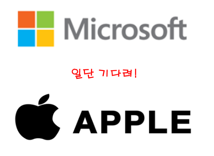 [분석공유] 애플? 마이크로소프트? 무엇을 사야하나!