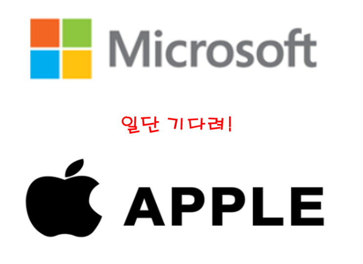  [분석공유] 애플? 마이크로소프트? 무엇을 사야하나!