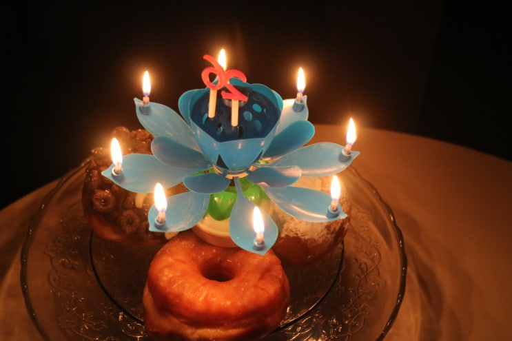  연꽃초와 생일파티용품으로 생일파티, 초 끄기도 쉽게 (by 스토리빙)