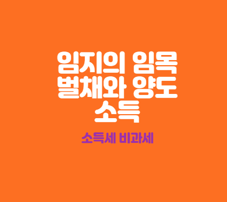  나무벌채소득과 임지의 양도소득 비과세 소득에 대하여 알아봐요
