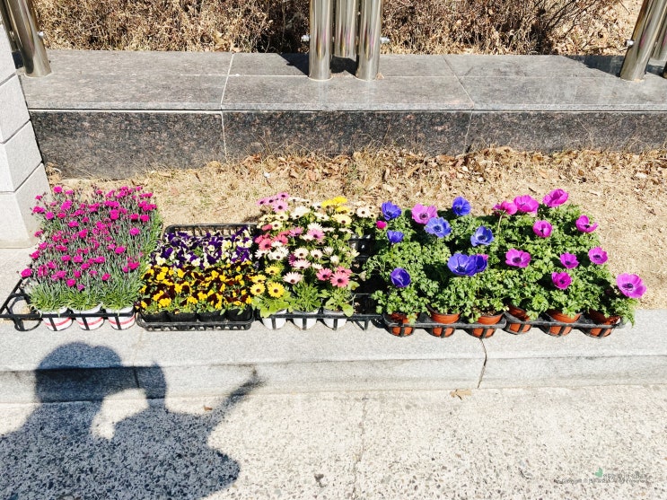 220308 어느덧 따뜻한 3월 220308 어느덧 따뜻한 3월