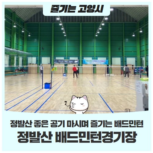 정발산에서 좋은 공기 마시며 즐기는 배드민턴 정발산에서 좋은 공기 마시며 즐기는 배드민턴