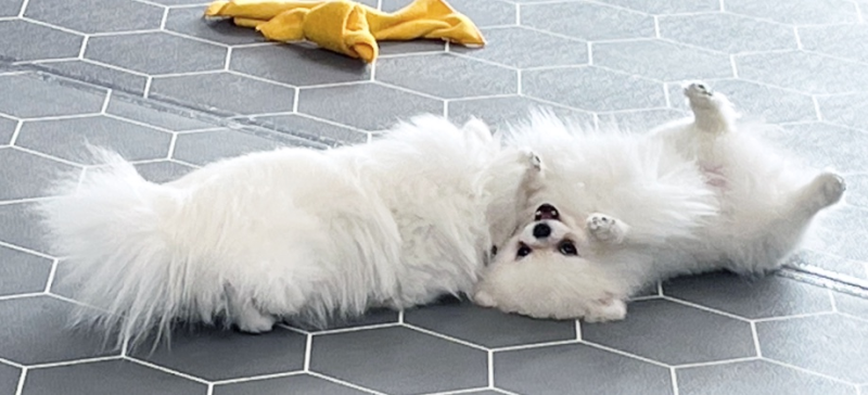 사진 4