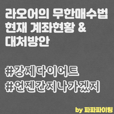  라오어의 무한매수법 계좌현황 및 대응방안