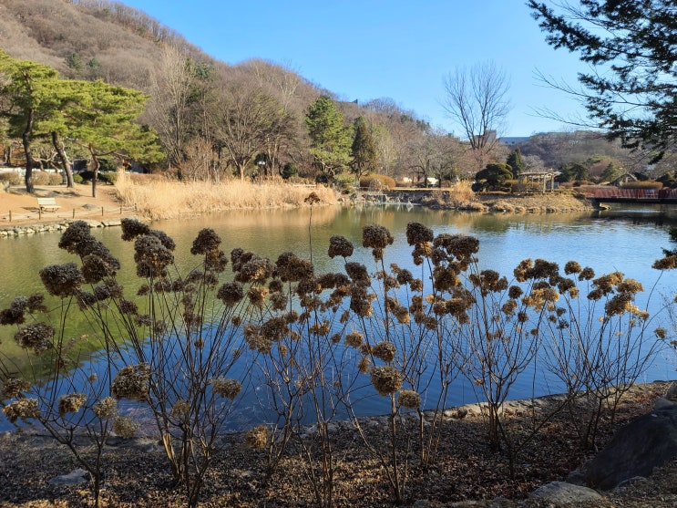  경기도 포천 아이들과 나들이 가기 좋은 서운동산 - 동물먹이 체험