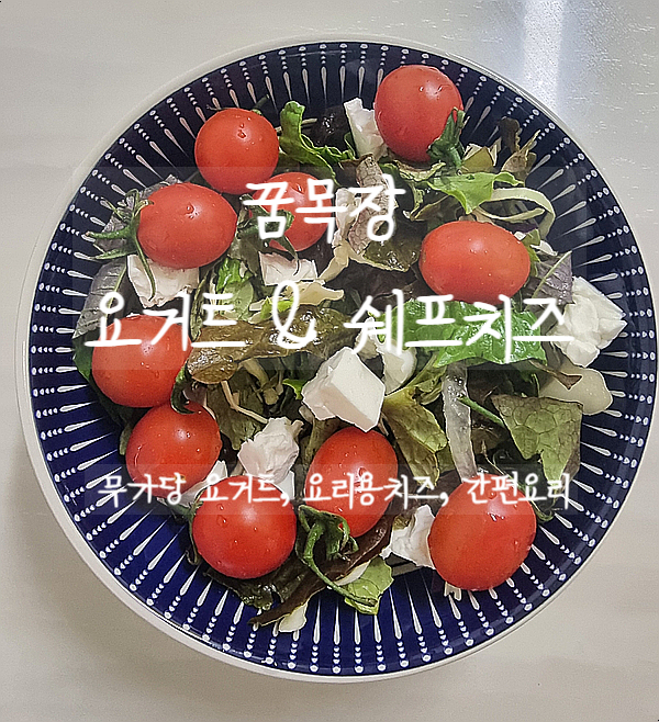 요거트추천, 꿈목장 무가당요거트와 할루미 쉐프치즈로 영양가득 간편요리 해보자