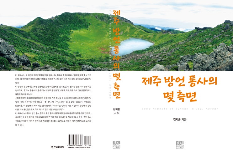  제주 방언 통사의 몇 측면