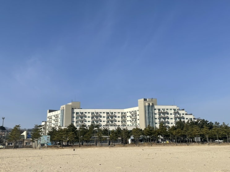  속초 리조트 추천 삼포해수욕장앞 고성 오션투유리조트 파노라마오션뷰 후기