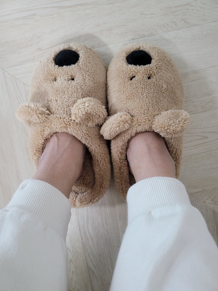  우리은행 이벤트 3등 다이노탱 쿼카 플러피 슬리퍼 당첨! Quokka Fluffy Room Slippers