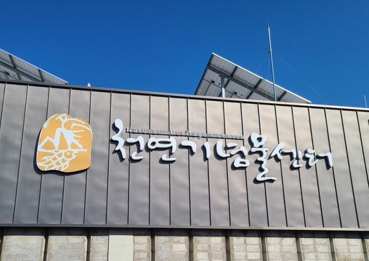 국내유일 천연기념물센터 방문후기(아이와가볼만한곳,대전여행,데이트코스)