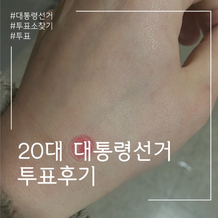  투표소 찾기 20대 대통령선거 후기